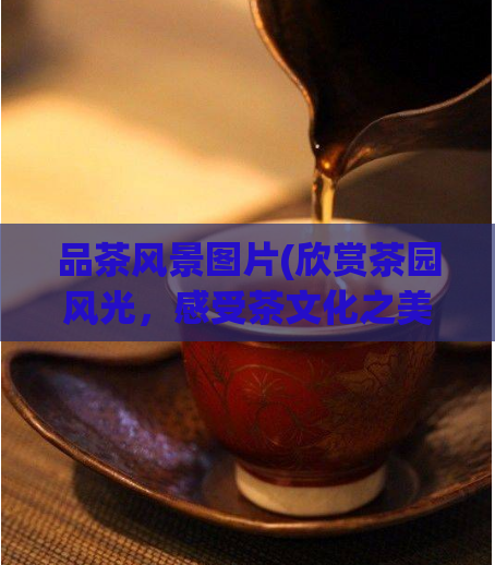品茶风景图片(欣赏茶园风光，感受茶文化之美)  第1张