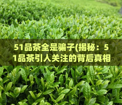 51品茶全是骗子(揭秘：51品茶引人关注的背后真相)  第1张