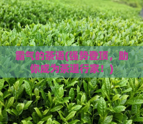 霸气的茶语(强势登顶，助你成为茶道行家！)  第1张