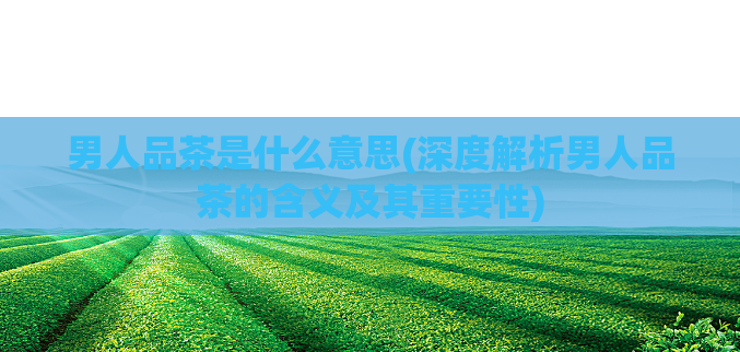 男人品茶是什么意思(深度解析男人品茶的含义及其重要性)  第1张