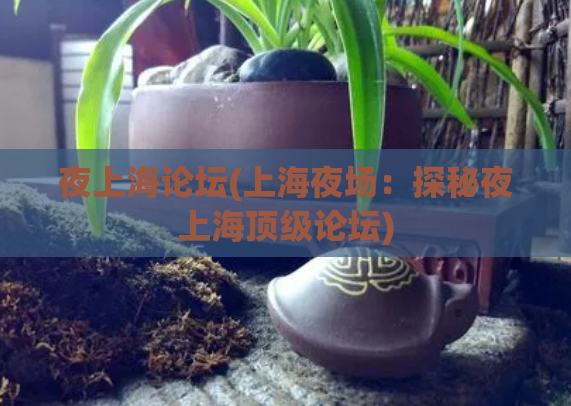 夜上海论坛(上海夜场：探秘夜上海顶级论坛)  第1张