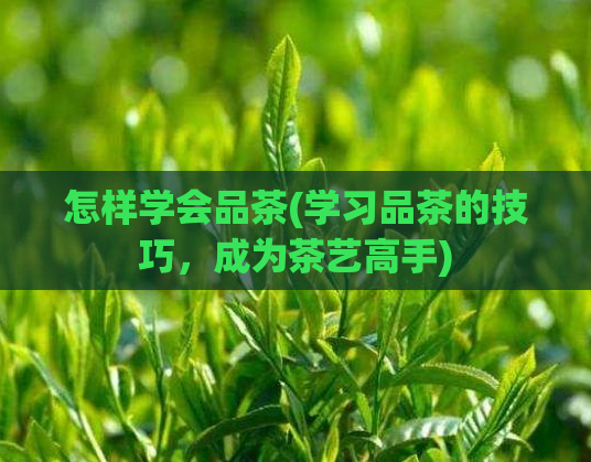怎样学会品茶(学习品茶的技巧，成为茶艺高手)  第1张