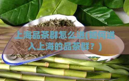上海品茶群怎么进(如何进入上海的品茶群？)  第1张