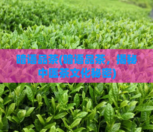 暗语品茶(暗语品茶，揭秘中医茶文化秘密)  第1张