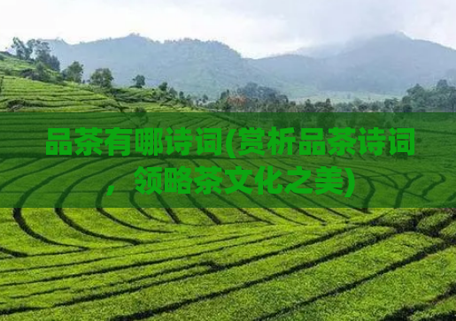 品茶有哪诗词(赏析品茶诗词，领略茶文化之美)  第1张