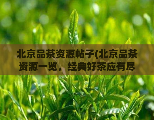 北京品茶资源帖子(北京品茶资源一览，经典好茶应有尽有)  第1张