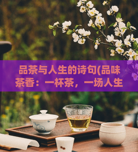 品茶与人生的诗句(品味茶香：一杯茶，一场人生。)  第1张