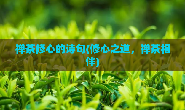 禅茶修心的诗句(修心之道，禅茶相伴)  第1张