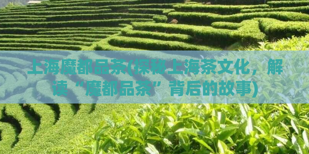 上海魔都品茶(探秘上海茶文化，解读“魔都品茶”背后的故事)  第1张