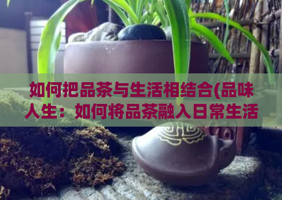 如何把品茶与生活相结合(品味人生：如何将品茶融入日常生活)  第1张