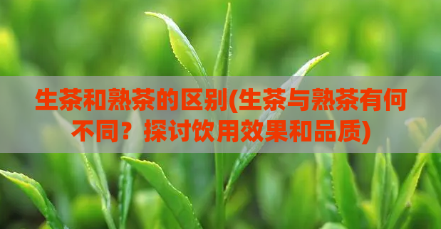 生茶和熟茶的区别(生茶与熟茶有何不同？探讨饮用效果和品质)  第1张