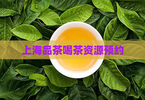 上海品茶喝茶资源预约  第1张