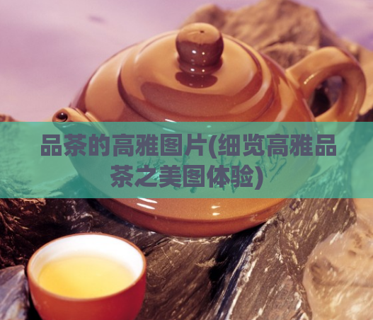 品茶的高雅图片(细览高雅品茶之美图体验)  第1张
