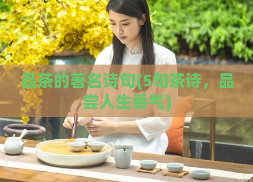 品茶的著名诗句(5句茶诗，品尝人生香气)  第1张