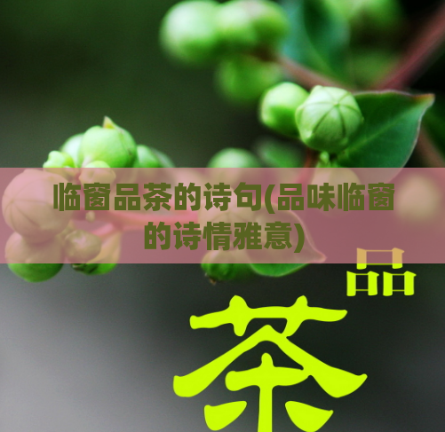 临窗品茶的诗句(品味临窗的诗情雅意)  第1张