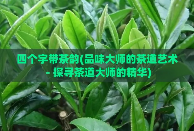 四个字带茶韵(品味大师的茶道艺术 - 探寻茶道大师的精华)  第1张