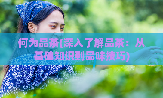 何为品茶(深入了解品茶：从基础知识到品味技巧)  第1张