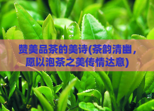 赞美品茶的美诗(茶韵清幽，愿以泡茶之美传情达意)  第1张
