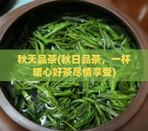 秋天品茶(秋日品茶，一杯暖心好茶尽情享受)  第1张