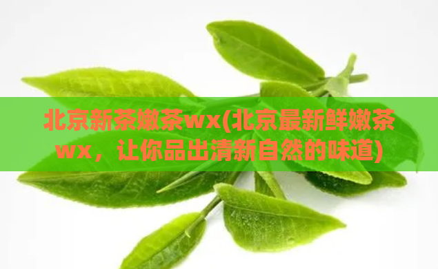 北京新茶嫩茶wx(北京最新鲜嫩茶wx，让你品出清新自然的味道)  第1张
