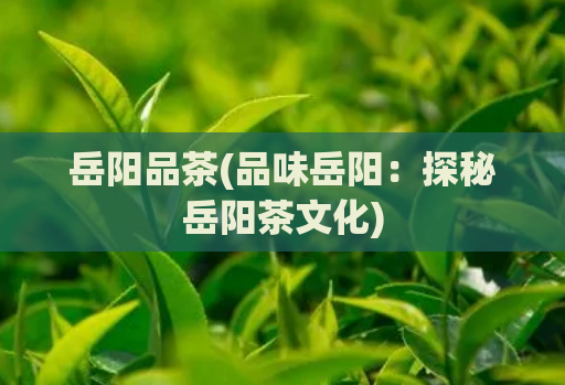 岳阳品茶(品味岳阳：探秘岳阳茶文化)  第1张