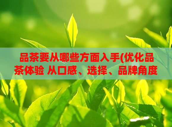 品茶要从哪些方面入手(优化品茶体验 从口感、选择、品牌角度提升品茶价值)  第1张
