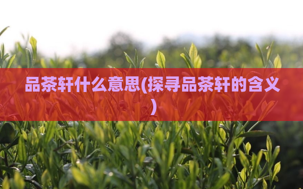 品茶轩什么意思(探寻品茶轩的含义 )  第1张