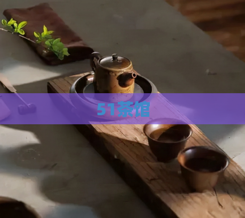 51茶馆  第1张