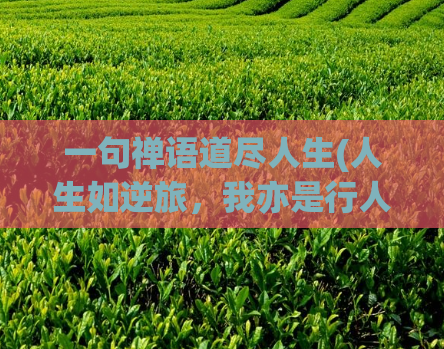 一句禅语道尽人生(人生如逆旅，我亦是行人)  第1张