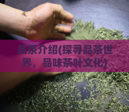 品茶介绍(探寻品茶世界，品味茶叶文化)  第1张