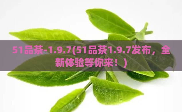 51品茶-1.9.7(51品茶1.9.7发布，全新体验等你来！)  第1张