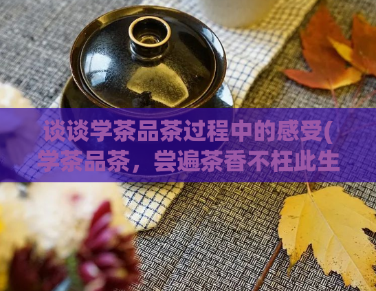 谈谈学茶品茶过程中的感受(学茶品茶，尝遍茶香不枉此生)  第1张