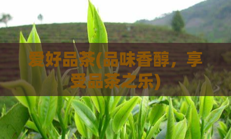 爱好品茶(品味香醇，享受品茶之乐)  第1张