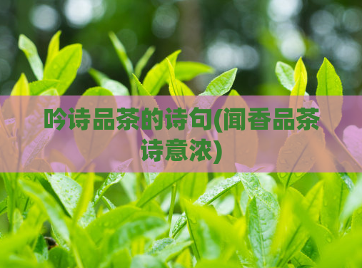 吟诗品茶的诗句(闻香品茶诗意浓)  第1张