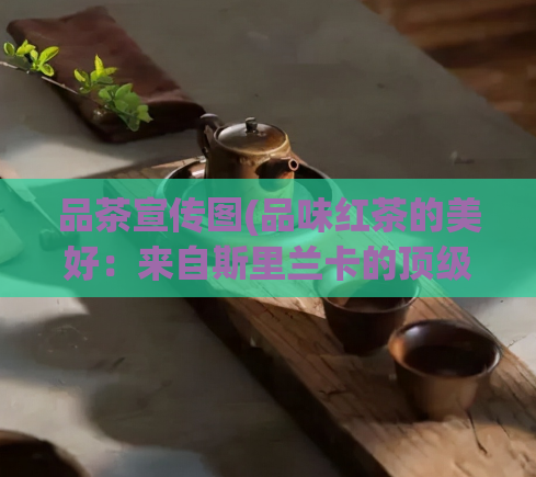 品茶宣传图(品味红茶的美好：来自斯里兰卡的顶级红茶推荐)  第1张