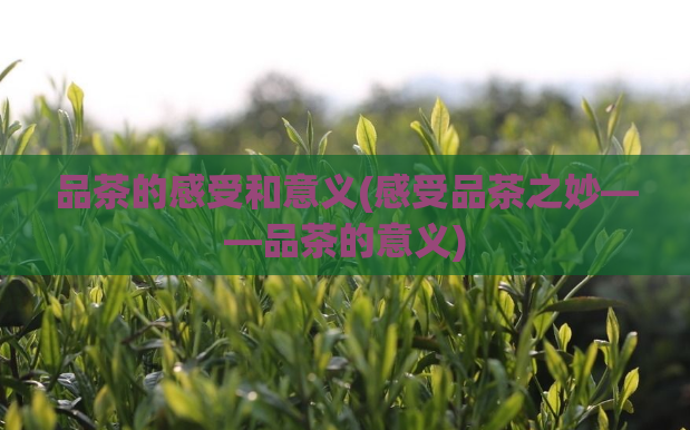 品茶的感受和意义(感受品茶之妙——品茶的意义)  第1张