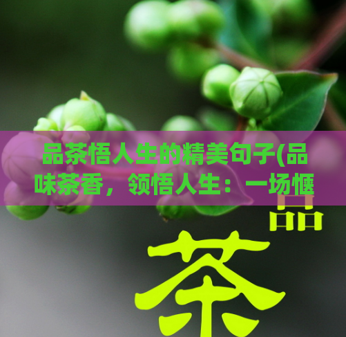 品茶悟人生的精美句子(品味茶香，领悟人生：一场惬意的品茶之旅)  第1张