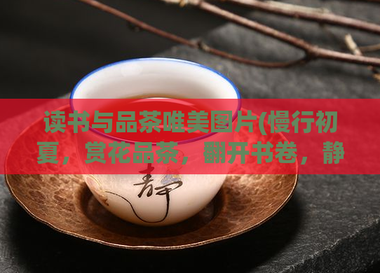 读书与品茶唯美图片(慢行初夏，赏花品茶，翻开书卷，静享唯美时光)  第1张