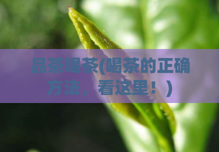 品茶喝茶(喝茶的正确方法，看这里！)  第1张