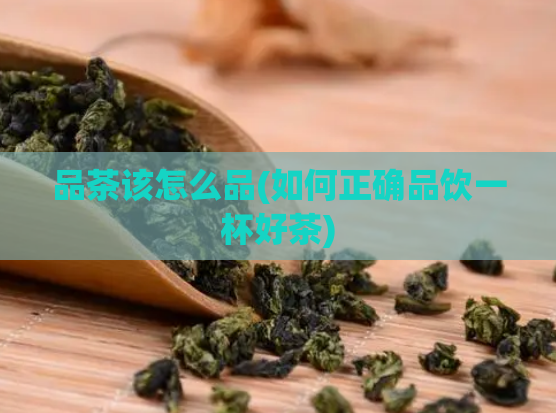 品茶该怎么品(如何正确品饮一杯好茶)  第1张
