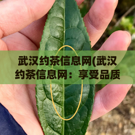 武汉约茶信息网(武汉约茶信息网：享受品质生活只需一杯香醇好茶)  第1张