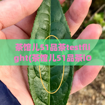 茶馆儿51品茶testflight(茶馆儿51品茶iOS TestFlight上线，畅饮高品质茶汤)  第1张