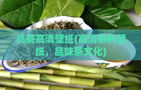 品茶高清壁纸(高清茶叶壁纸，品味茶文化)  第1张