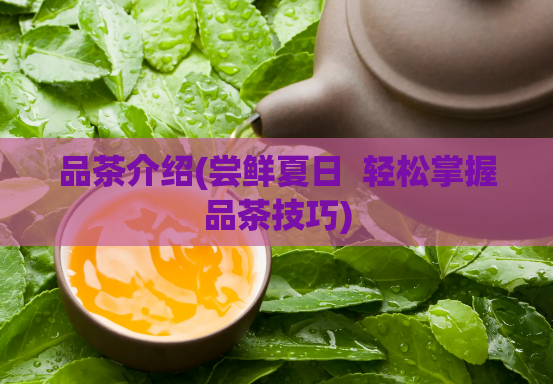品茶介绍(尝鲜夏日  轻松掌握品茶技巧) 第1张