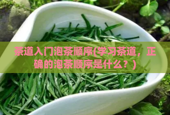 茶道入门泡茶顺序(学习茶道，正确的泡茶顺序是什么？)  第1张