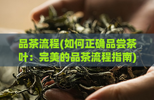 品茶流程(如何正确品尝茶叶：完美的品茶流程指南)  第1张
