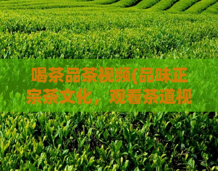 喝茶品茶视频(品味正宗茶文化，观看茶道视频 - 探索正宗茶文化，观赏Tea Art影片)  第1张