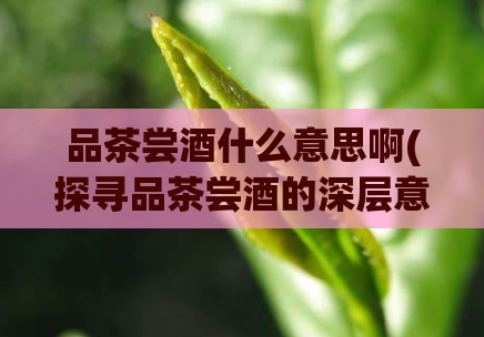 品茶尝酒什么意思啊(探寻品茶尝酒的深层意义)  第1张