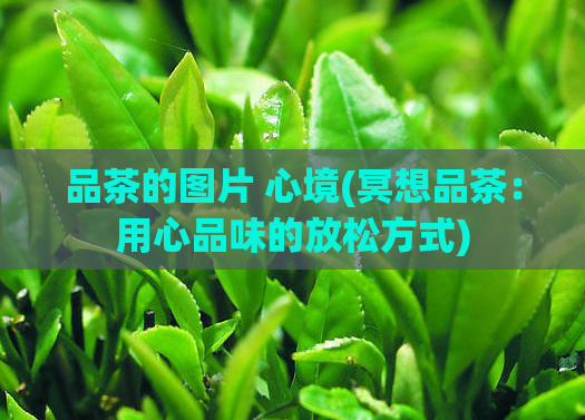 品茶的图片 心境(冥想品茶：用心品味的放松方式)  第1张