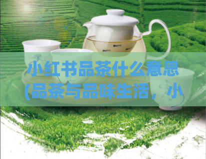 小红书品茶什么意思(品茶与品味生活，小红书带你领略不一样的茶道文化)  第1张